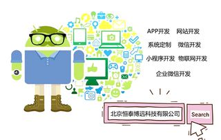 为什么软件定制开发和模板开发价格差距大