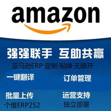 跨境无货源采集erp系统定制亚马逊店群铺货系统贴牌无限开